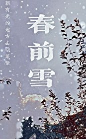 春前雪小说免费阅读下载