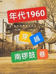 年代1960:穿越南锣鼓巷,作者